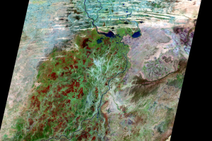Inland Delta of the Niger River, Mali