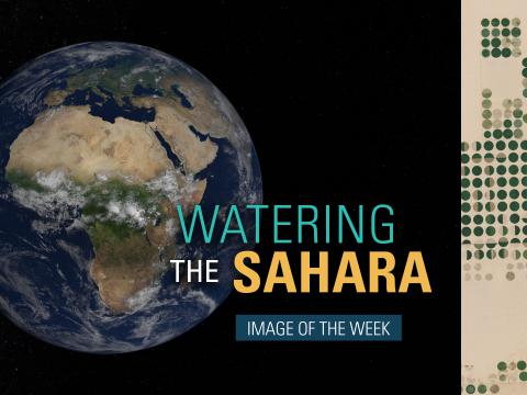 Watering the Sahara