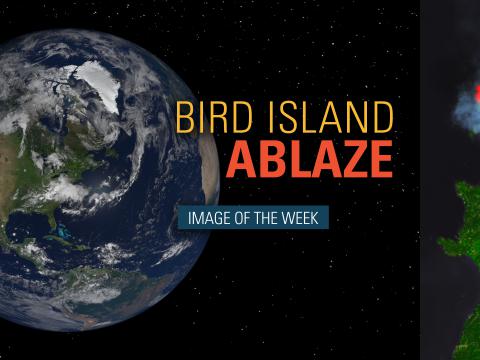 Bird Island Ablaze