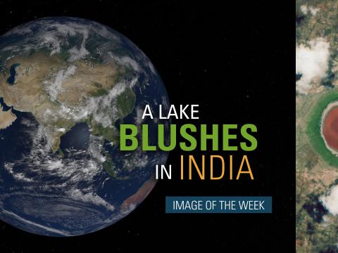 A Lake Blushes in India