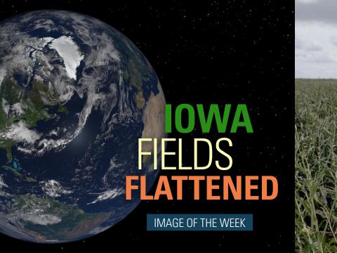 Iowa Fields Flattened