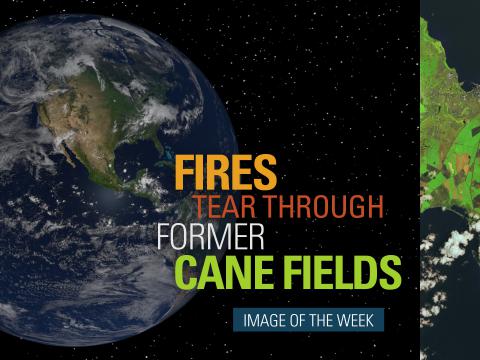 Fires Tear Through Former Cane Fields