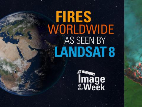 Fires Worldwide as Seen by Landsat 8