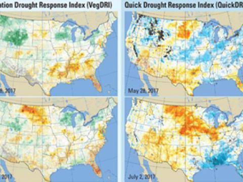 QuickDRI, VegDRI Showed Their Value in Montana Drought of 2017