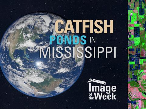 Catfish Ponds in Mississippi