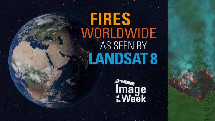 Thumbnail - Image of the Week: Fires Worldwide as Seen by Landsat 8