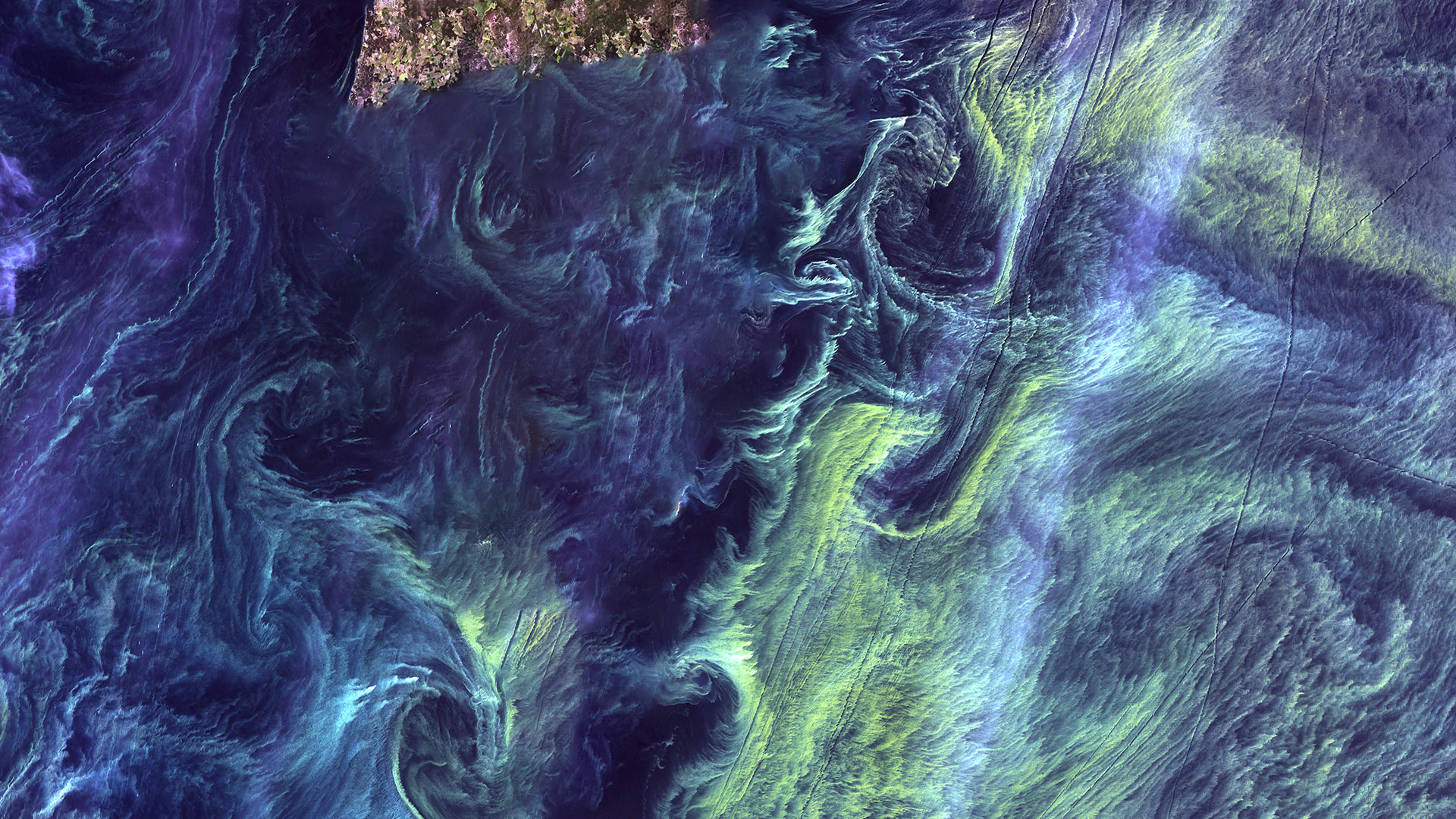 Van Gogh from Space